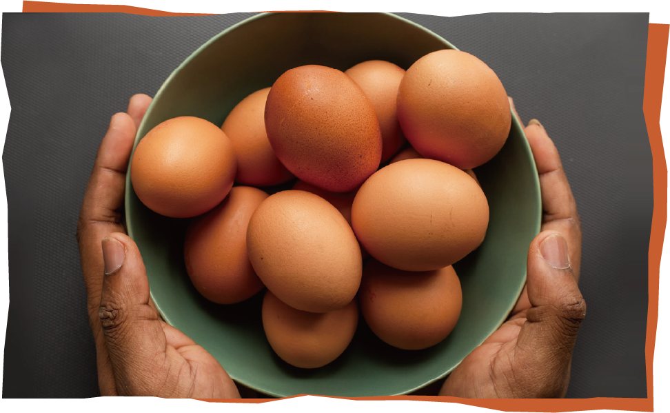 「かっぱの健卵」はお子様にもおすすめのオーガニック卵！