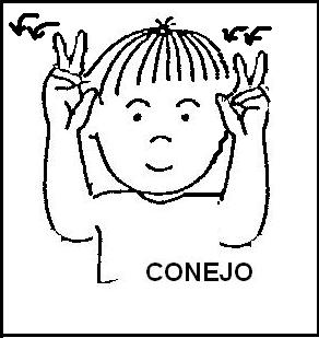 CONEJO.JPG