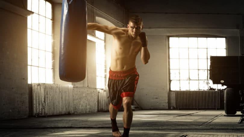 https://www.moneycrashers.com/wp-content/uploads/2014/11/home-boxing-workout-expectation-810x455.jpg