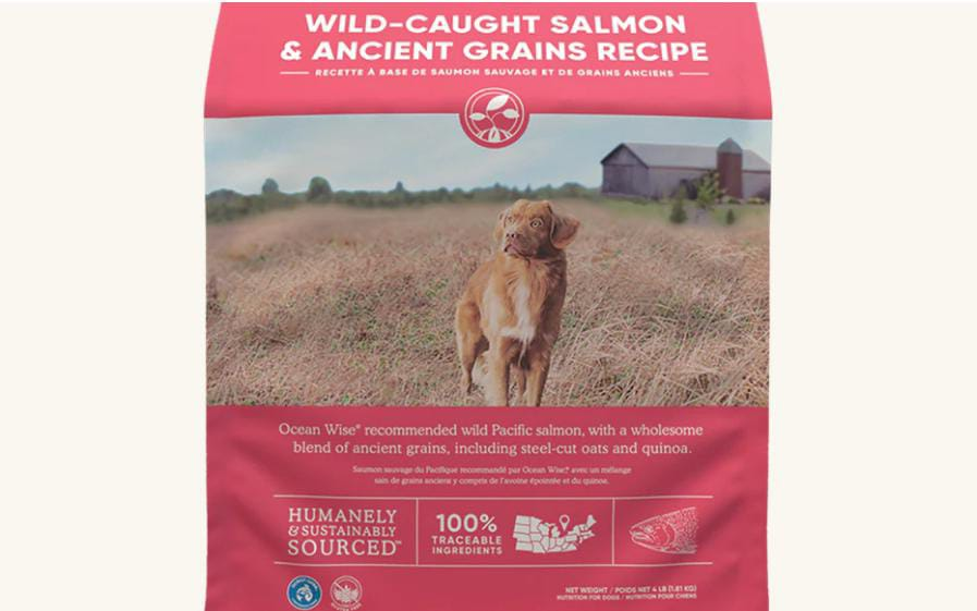 Wild-Caught Salmon & Ancient Grains Dry Dogs Food