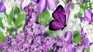 Image result for purple flowers and purple butterflies