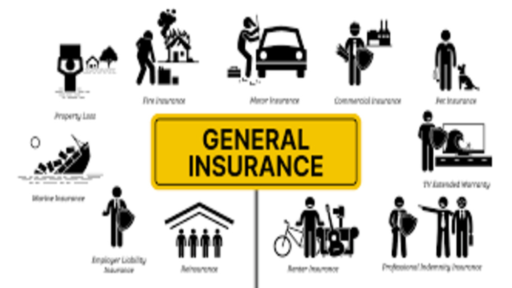 What are General Lines Insurances