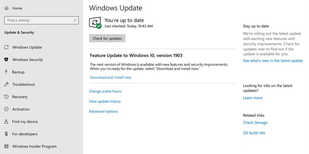 Install Windows Updates to complete the installation