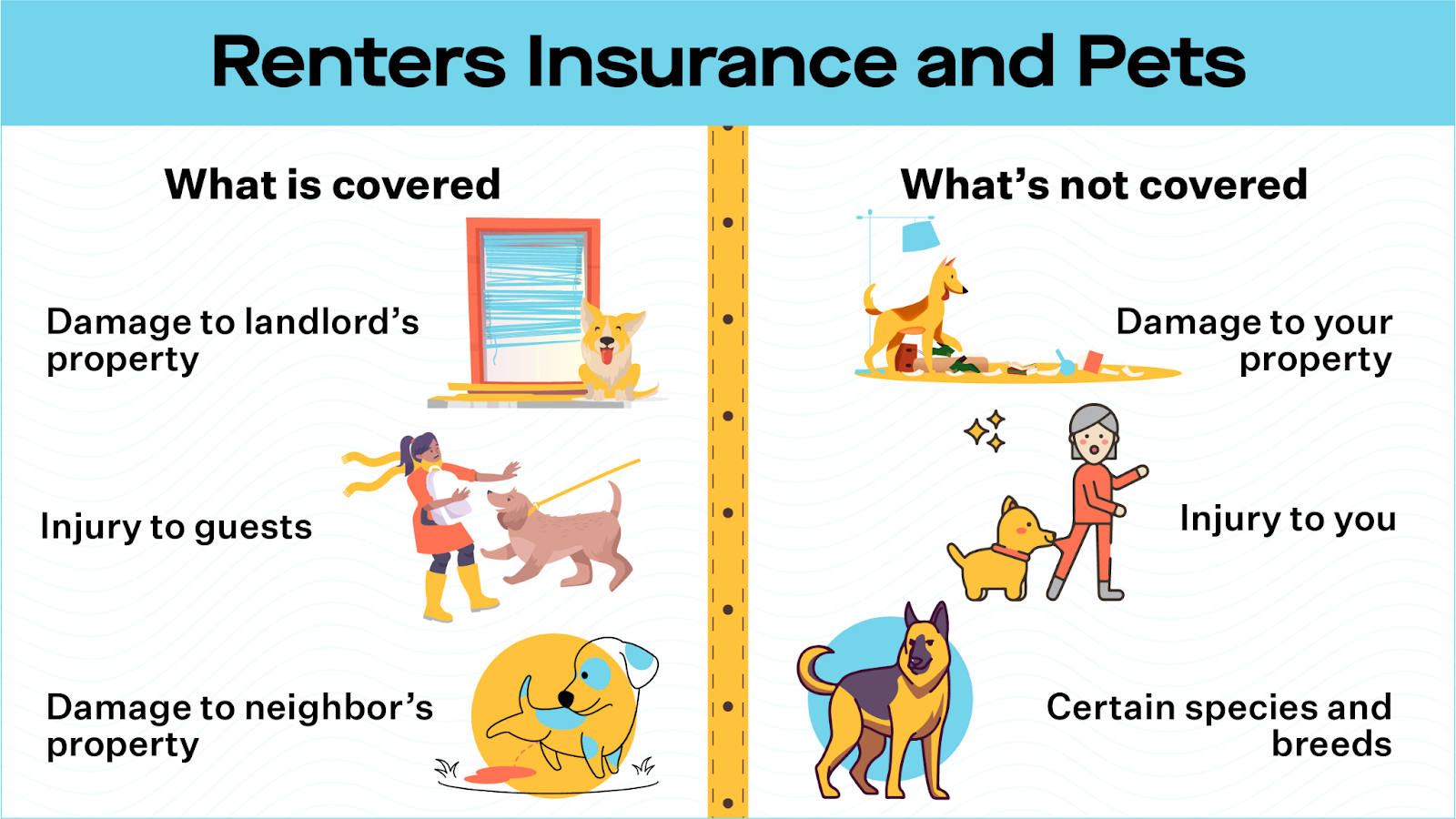 Renter Insurance For Pets