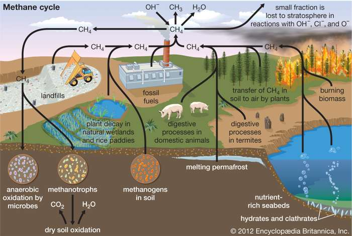 Methane cycle