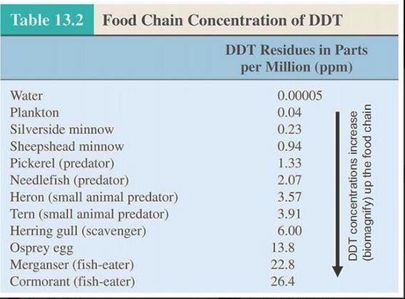 foodchainddt.JPG