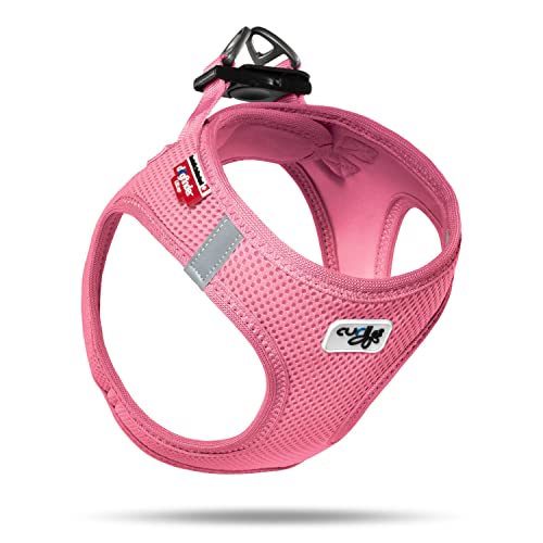 a pink dog Harnesses