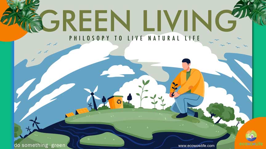 The Green Living Alternative To Driving Your Private Car