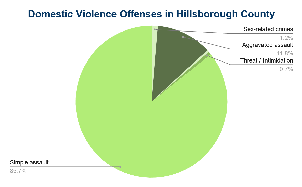 pie chart of domestic violence in hillsborough county