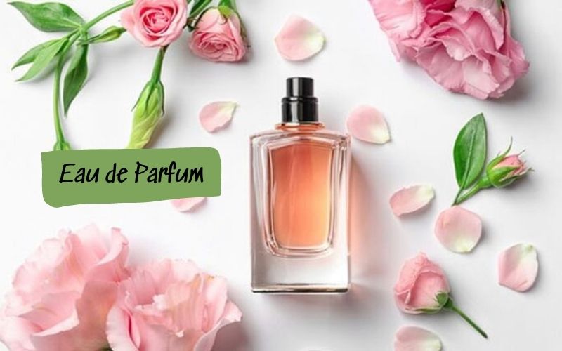 Các loại nước hoa Eau de Parfum