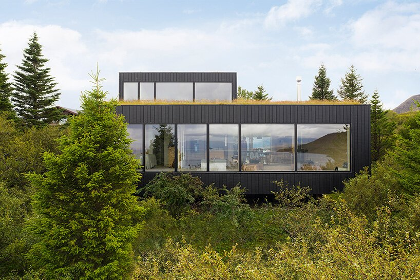 Green Roof Icelandic House