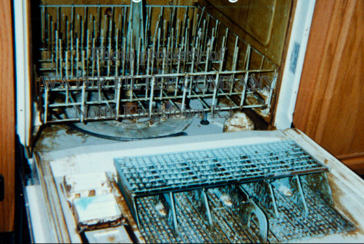 Manganese Stained Dishwasher