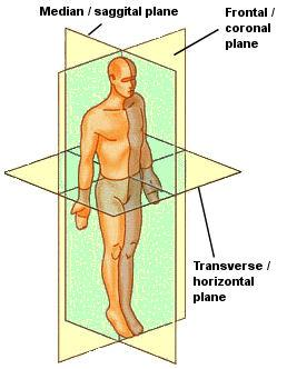 1 3 Planes Of Movement Breathing Unconventional Training Academy