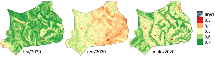 o que é ndvi - Evolução dos valores de NDVI em diferentes meses do ano