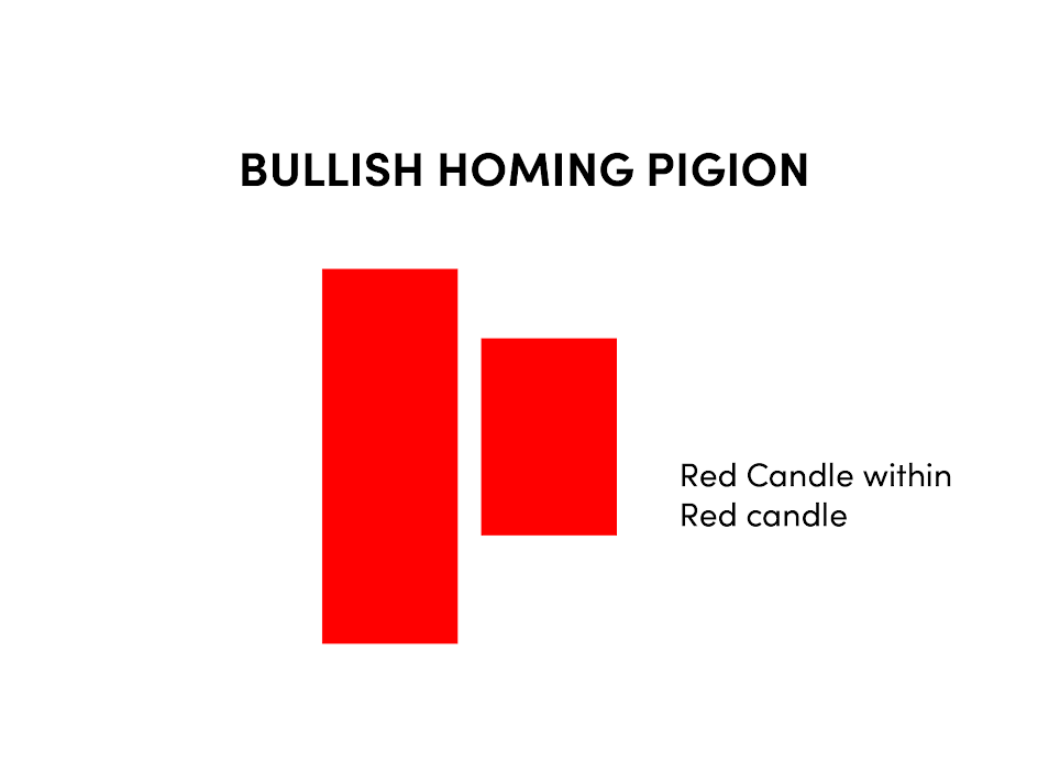 Bullish Homing Pigion