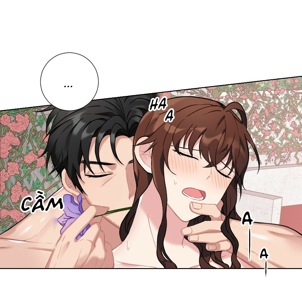 Tiểu Thư Và Dàn Hầu Nam Mlem chapter 11 - Trang 8