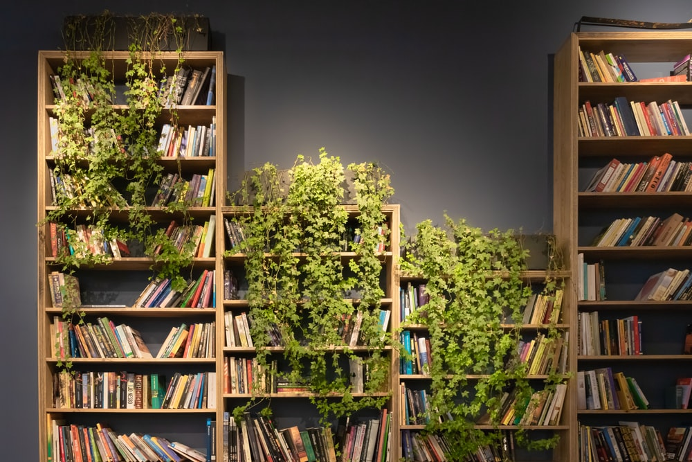 Uneven bookshelf height with trailing plants on top for added decor