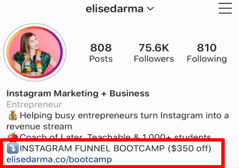 How to Write a Business Bio on Instagram - Elise Darma