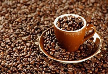 Cà phê robusta là gì ?