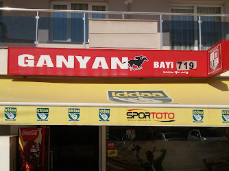 Ganyan Bayi 719