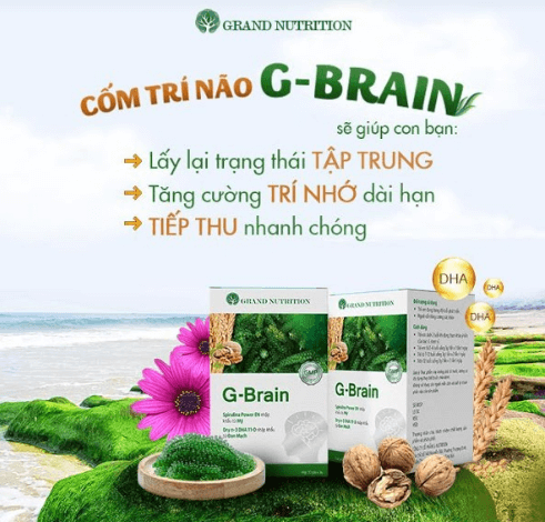 [SỰ THẬT] Cốm trí não G-Brain có tốt không? G-Brain giá bao nhiêu?