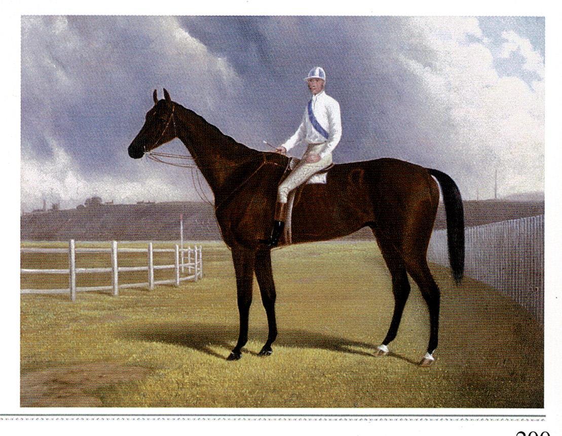 A person riding a horse

Description automatically generated with medium confidence