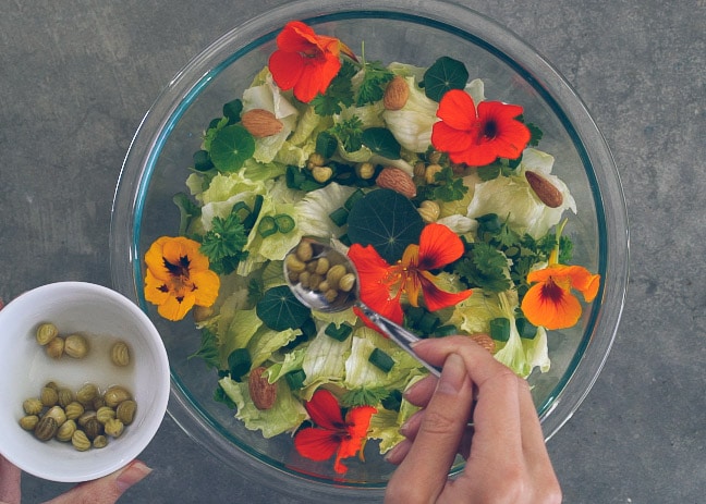 Nasturtium Salad