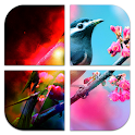 Pic Frame Effects apk
