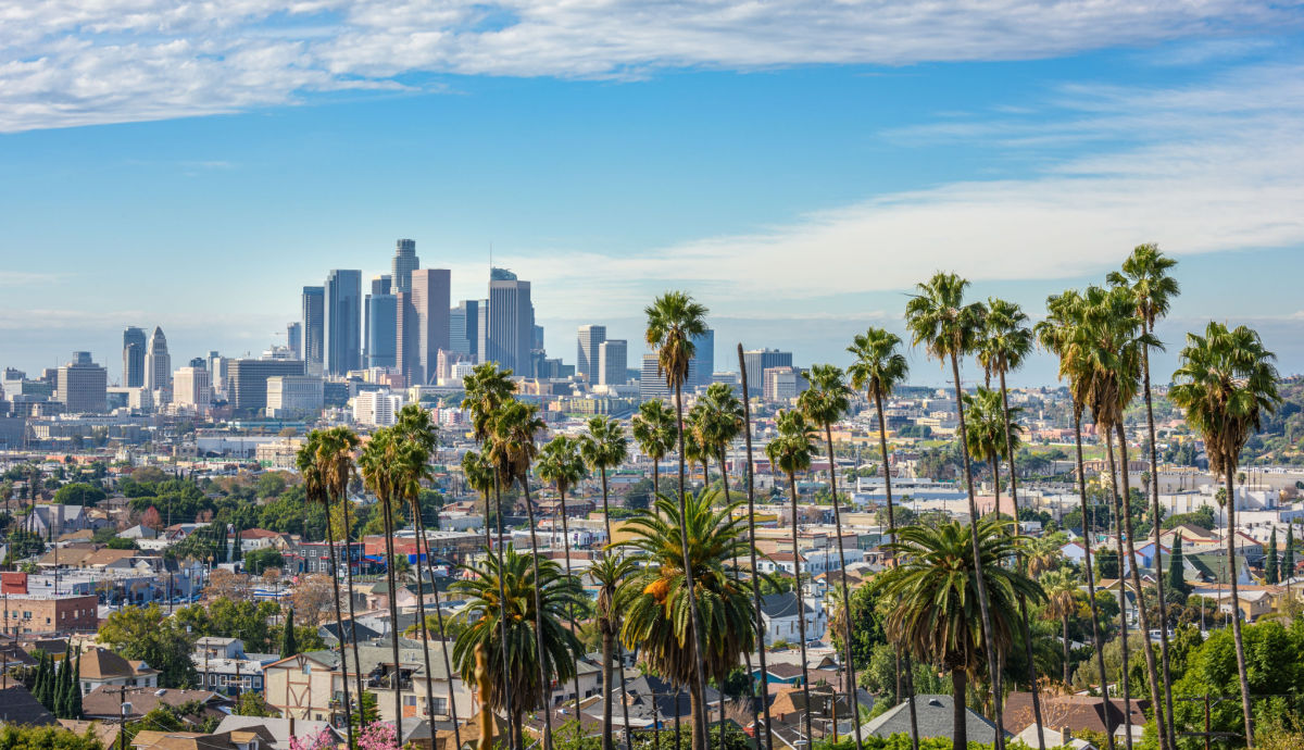 A view of the Los Angeles skyline with palm trees in the foreground.