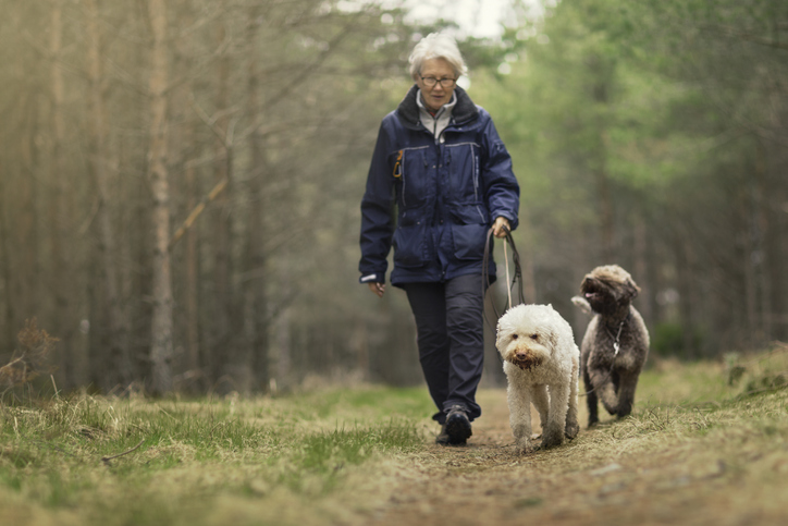 9-fun-part-time-jobs-for-retirees-that-anyone-can-do-sixty-and-me