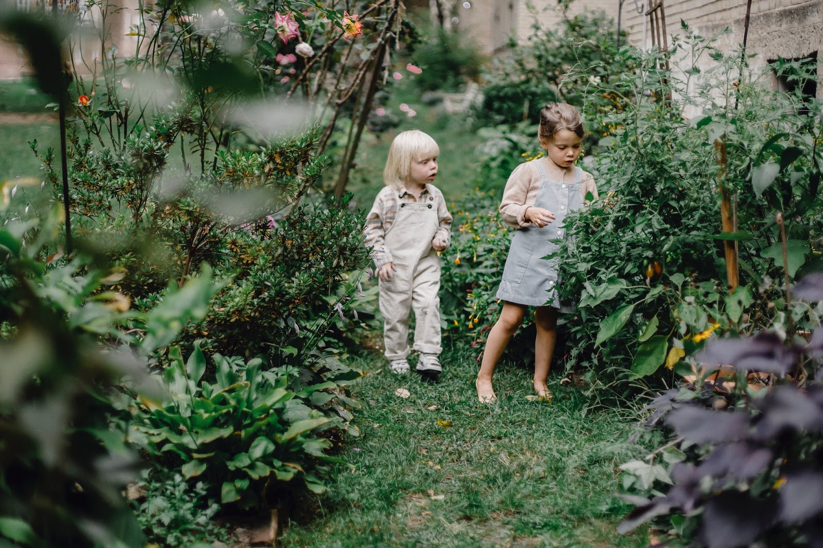 https://www.pexels.com/photo/cute-siblings-resting-in-green-garden-5624237/