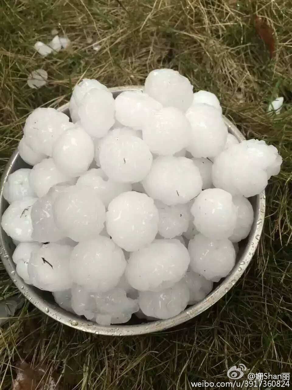 Hailstones collected in Hunan Province. (Sina Weibo)