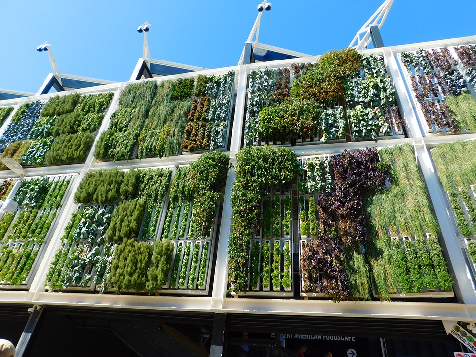 Vertical garden