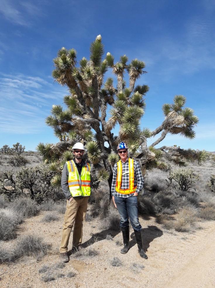 A couple of men wearing safety vests standing next to a tree

Description automatically generated with medium confidence