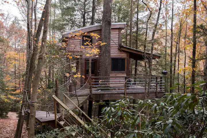 Sylvan Float Treehouse - The Red Oak and a Hickory Treehouse Retreat in Kentucky