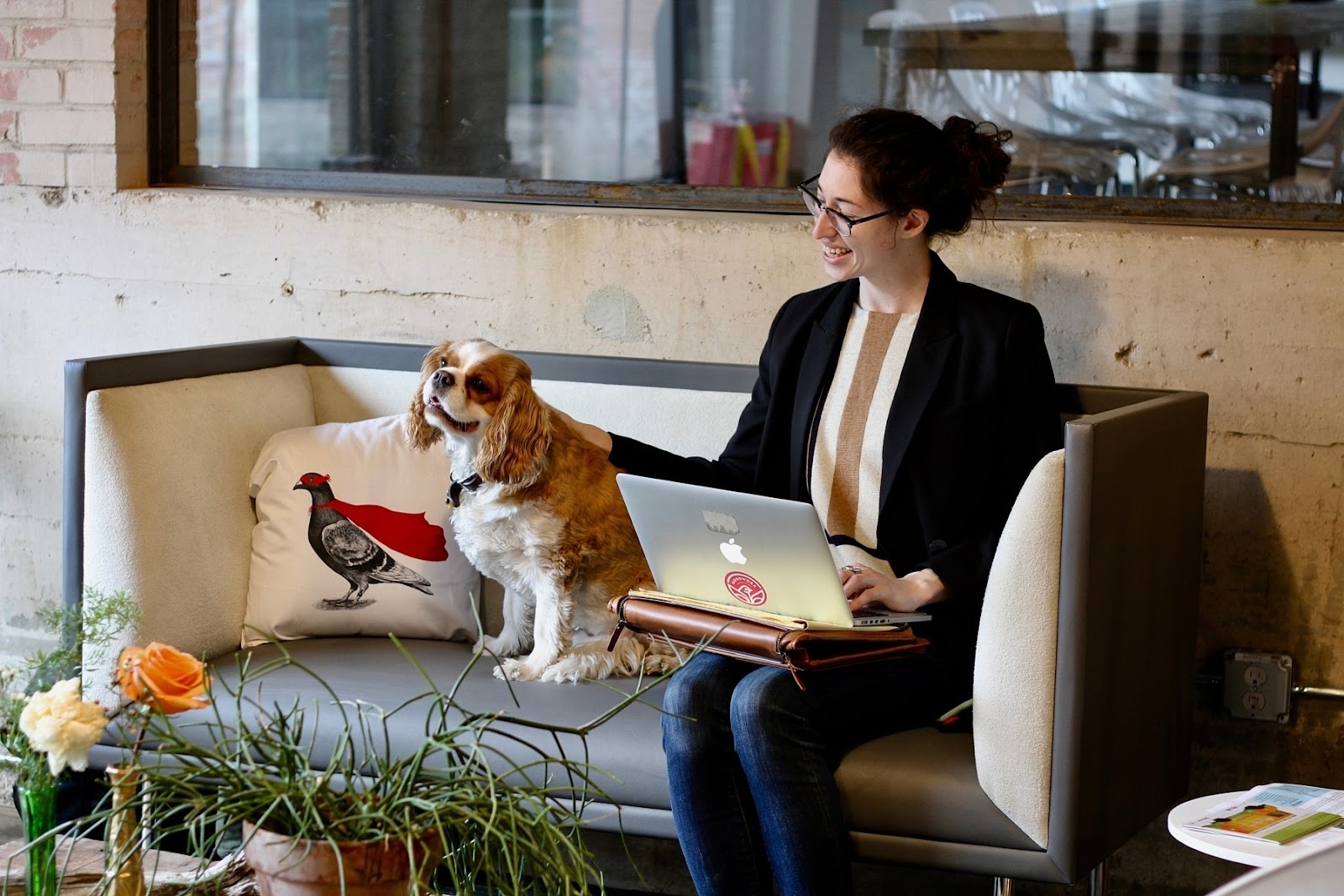 Dog Friendly Coworking Space